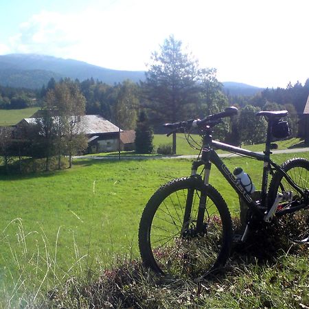Ferienhaus Mit Seeblick Waldkirchen Exteriér fotografie